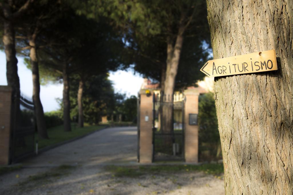 Agriturismo Ae Cavane Codevigo Экстерьер фото